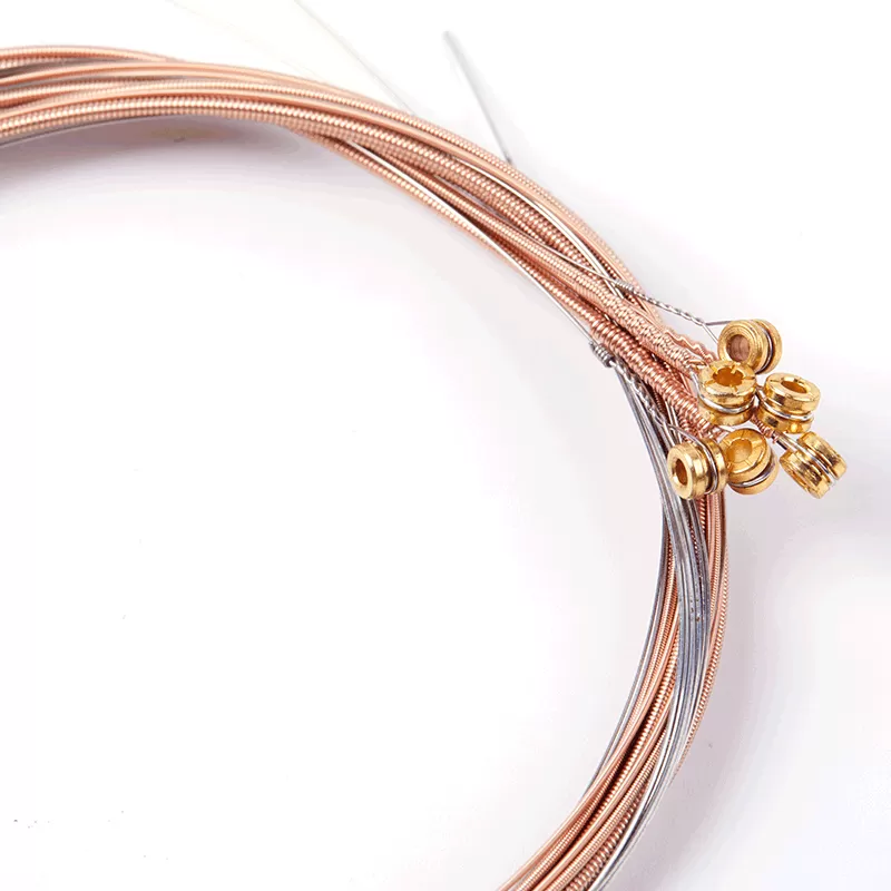 Alice-acoustic-guitar-string